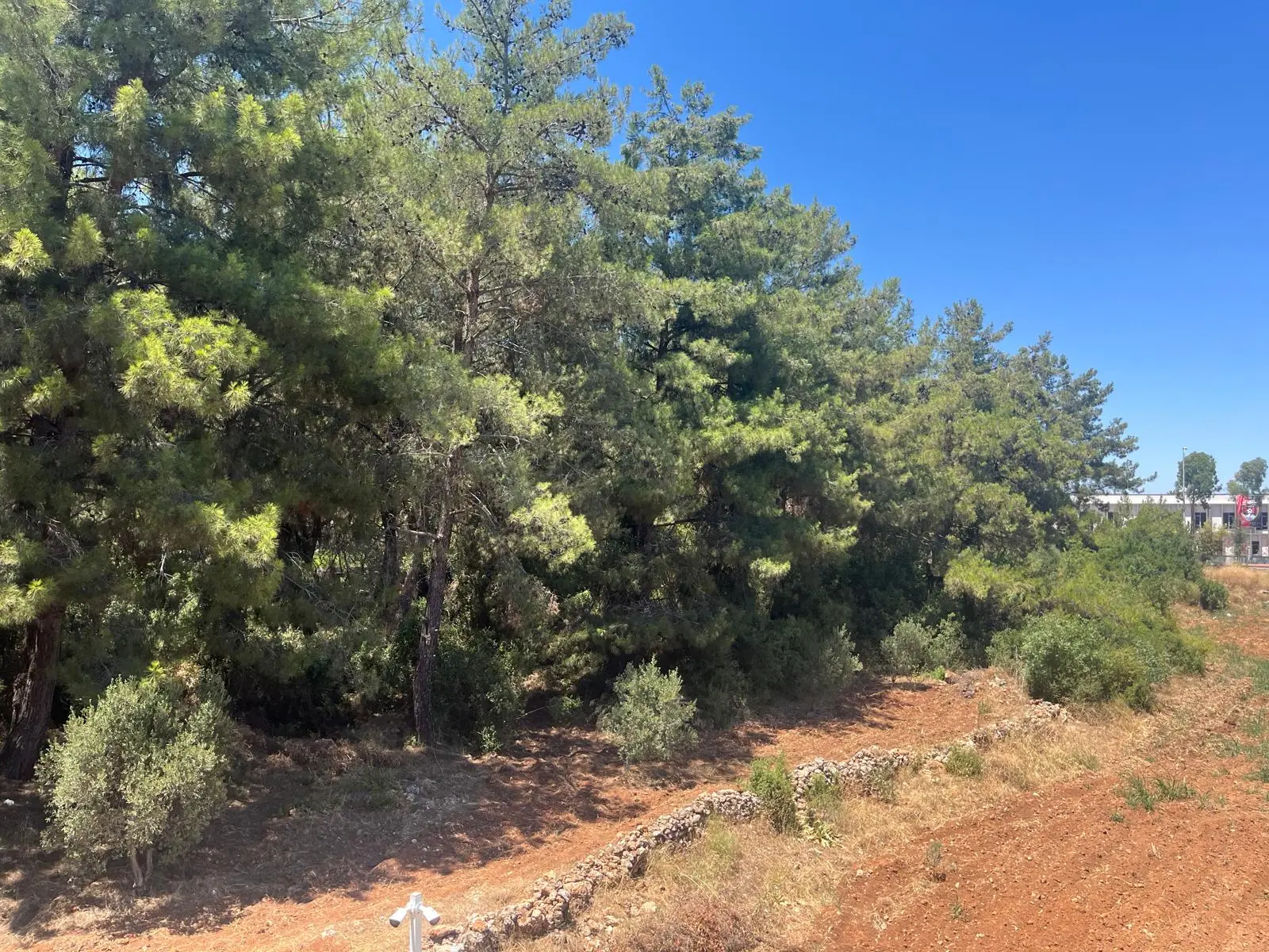 Nature in Dosemealti